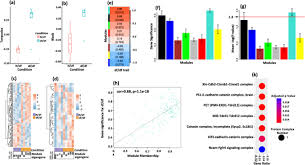 Image result for Turquoise 1977 Caloric