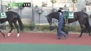 サスペンス・ミステリー / ホラー / 学園. ä¸­å±±ç‰é¦¬ã‚¹ãƒ†ãƒ¼ã‚¯ã‚¹2021ç‰¹é›† Netkeiba Com ç«¶é¦¬äºˆæƒ³ çµæžœ é€Ÿå ± ã‚ªãƒƒã‚º å‡ºé¦¬è¡¨ å‡ºèµ°äºˆå®šé¦¬ é¨Žæ‰‹ æ‰•æˆ»ãªã©ç«¶é¦¬æœ€æ–°æƒ…å ±