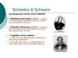The three tenets to the cell theory are as. Cells And Cell Theory Ppt Download