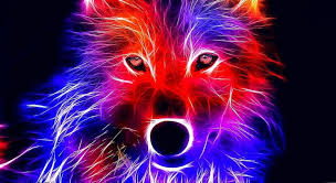 80 Geometric Wolf Android Iphone Desktop Hd Backgrounds Wallpapers 1080p 4k 1455x792 2021 The best selection of royalty free geometric wolf vector art, graphics and stock illustrations. android iphone desktop hd backgrounds
