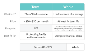 term life insurance v s whole life insurance video