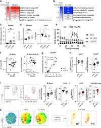 نتیجه جستجوی لغت [encompasses] در گوگل