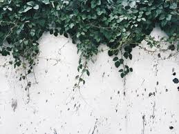 Here you can explore hq aesthetic transparent illustrations, icons and clipart with filter setting like size, type, color etc. 195 Aesthetic White Android Iphone Desktop Hd Backgrounds Wallpapers 1080p 4k 1280x960 2021