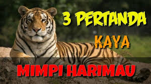 3 Pertanda Arti Mimpi Bertemu Harimau Bang Ferta Youtube