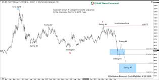 Soybean Hit 9 Year Low Due To Trade War