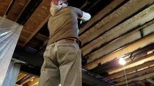 Check spelling or type a new query. Ryan Venice Basement Ceiling Paint Black Hand Painted Wagner Sprayer Use A Roller Instead Youtube