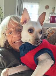 Excited to be a part of this community! Meet Louis Alfonso Rosario Vincenzo  LoGatto III Aka Big Louie He's a little over 4 months and I am head over  heels in love