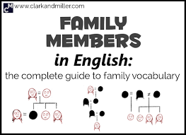 You need to make sure that they're worth it. Family Vocabulary Family Members In English Clark And Miller