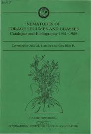 Image result for Crotalaria longithyrsa