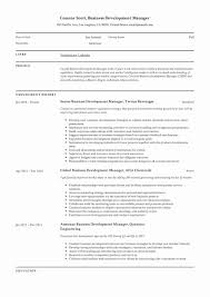 Business Development Resume Example Fresh Business Development Manager Resume Guide In 2020 Project Manager Resume Manager Resume Job Resume Samples