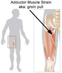Pain caused by a groin injury can be mild or severe and occurs in all age groups. Chiropractor Chandler Az Adductor Strain Groin Pull Muscle Strain Thigh Exercises Hip Arthritis Exercises