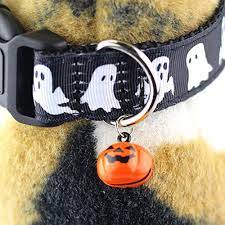 Licensed nfl gear · free shipping over $30 · 25,000 styles & sizes Halloween Dog Collars 21 Halloween Collars Your Dog Needs