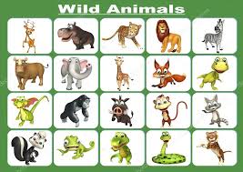 Resultado de imagen para animales salvaje