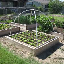 These will double as a holder for bird netting next season to protect strawberries. Diy Pvc Hoop Bed Cover Finegardening