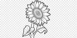 Gemeinsame Sonnenblume Zeichnung Malbuch Scooby Doo Hamburguer Kunstwerk Schwarz Schwarz Und Weiss Png Pngwing