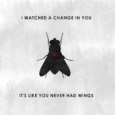 Come true (original motion picture soundtrack). I Watched You Change Deftones Lyrics Music Book Lyrics