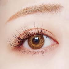 Accessorplus Dol Meow Brown Colored Contact Lenses Contact Lenses Colored Contact Lenses Eye Lens Colour
