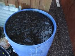 Therapeutic benefits of marijuana tea. Making Liquid Fertilizer From Weeds 3 Steps With Pictures Instructables