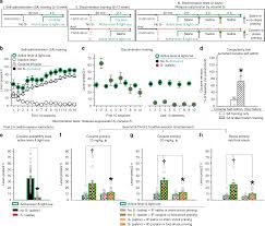 Anti Relapse Neurons In The Infralimbic Cortex Of Rats Drive