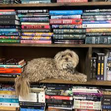 StoneMartyrs by #ErikHofstatter is featured in our #newbooks wrap up for  this week! You can watch the whole thing