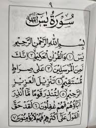 Ya allah saudaraku semuanya yang ada disini maupun diluar sana minta do'anya semoga anaku cepet sembuh semoga turut demam nya dan diangkat penyakitnya semoga cepet. Jual Surat Yasin Arab Saku Tipis Di Lapak Ikilo Store Bukalapak