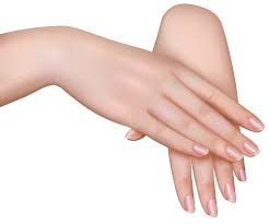 Check spelling or type a new query. Clipart Female Hand Png Novocom Top