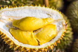 Velg blant mange lignende scener. Malaysian Govt To Study Aphrodisiac Claims Of Durians Food The Jakarta Post