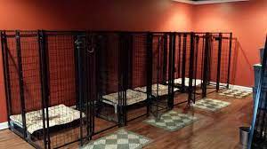 The 8×10 medium outdoor dog kennel provides lots of space for a larger dog or even 2 dogs that can stay together. 30 Best Indoor Dog Kennel Ideas The Paws