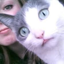 How do you cook frozen perogies for a crowd?