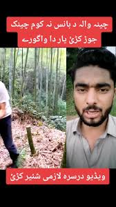 Construction Work Insights: Tips and Humor in Building