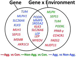 Will i get prostate cancer? Environmental Factors And Risk Of Aggressive Prostate Cancer Among A Population Of New Zealand Men A Genotypic Approach Molecular Biosystems Rsc Publishing