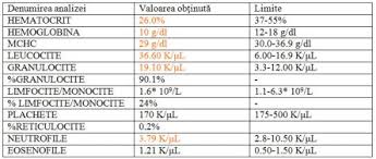 È pericoloso quando si trovano? Identificarea Precoce A InsuficienÅ£ei Renale Vet Magazin Ro