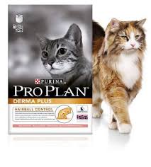 Pro Plan Elegant Opti Derma Somonlu Yetiskin Kedi Mamasi 3 Kg Kingpetshop Com Tr