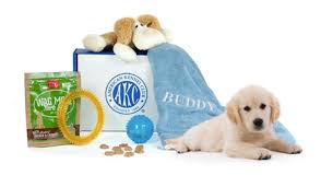 What you need for a puppy. New Puppy Checklist Toys Treats Supplies And More For Your New Pup