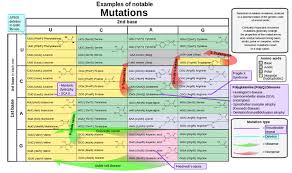 All Sorts Of Mutations Changes In The Genetic Code Lesson Mutation Genetics Amino Acids