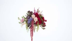 For now, it will only be offering the vaccine in florida. Jeff Lanman Project Director Ifd Flower Trends Forecast Linkedin