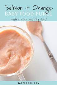 Salmon Orange Baby Food Puree Perfect Food For Baby Baby Foode