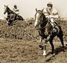 Image result for Aldaniti - Bob Champion - Grand National Winner 1981