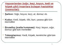 Hayvanlardan Insanlara Bulasan Hastaliklar Ve Korunma Yollari Konusunda Bilgi Ve Tutum Kazandirmak