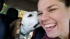 Man pushed Iraq veteran to ground, stole service dog