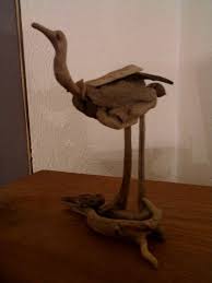 struisvogel driftwood legno