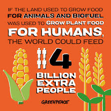 Alles rund um green foods jetzt schnell & preiswert bei nu3.de bestellen! Greenpeace On Twitter Feeding Our World Is A Global Challenge We Need To Grow More Plant Based Food For People And Say Yes To More Plants Less Meat Zerohunger Worldfoodday