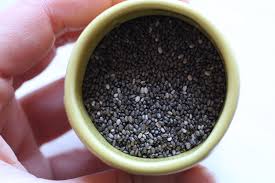 Chia Vs Flax Vs Hemp Which Seed Is Better Abra S Kitchen