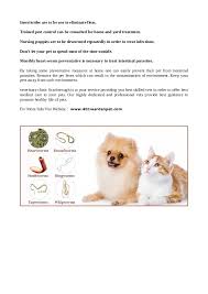 19 просмотров 1 неделю назад. Sign Symptoms Of Worms In Pets 401 Warden Pet