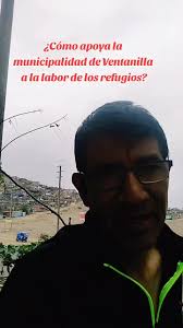 Vídeos de REFUGIO COLITAS Y AMOR 🐾🏠❤️ (@refugiocolitasyamor) con «Space  Song