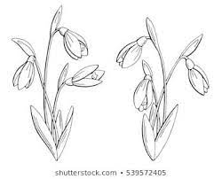 Tulip Flower Graphic Black White Isolated Stock Vector Royalty Free 594691034 Flower Graphic Flower Drawing Images Carnation Drawing