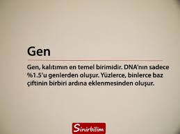 We did not find results for: Gen Nedir Sinirbilim
