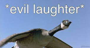 Hodgins allegedly used crackers to lure several geese to the station, where the killing took place, the report said. 19 Of The Most Traumatizing Stories About Being Attacked By Canada Geese