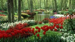 Flower garden stock photos and images. Flower Garden Wallpapers Wallpaper Cave