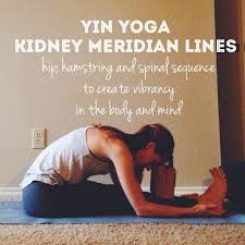 Yin Yoga Kidney Meridian Lines Meditatie Yoga En Workout